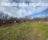 Pkozdon panorms csaldi birtok elad!