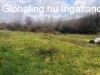 Elad egy Bbonymegyeri csaldi hz