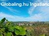 Tabon j llapot pince gondozott zrtkertben elad