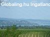 Birtok Balaton-kzelben. - Krshegy