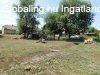 Csaldi hz nagy telekkel Ltrnyban elad