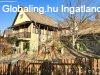Elad hz, Zalaegerszeg