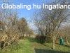 Elad hz, Zalaszentgyrgy