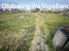 Elad 145 nm-es Csaldi hz Dabas