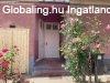 Elad 64 nm-es Csaldi hz Dabas