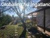 Elad 147 nm-es jszer llapot Csaldi hz Dabas