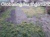 Elad 93 nm-es Feljtand Csaldi hz Mosonmagyarvr