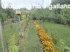 Elad 220 nm-es Feljtott Csaldi hz Eger
