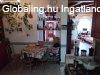 Elad 160 nm-es jszer llapot Csaldi hz Ostoros