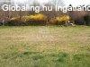 Elad csaldi hz Telki, 	Musktli utca