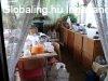 Elad csaldi hz Kecskemt, 	Halasi t mentn