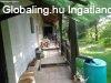 Elad csaldi hz Dbrhegy, 	Nyugalom szigete