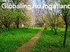 Elad csaldi hz Kajsz, 	Csendes mellkutcban