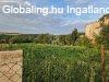 Elad csaldi hz Vcrtt, 	nll csaldi hz