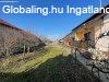 Elad csaldi hz Sndorfalva, 	Jkai utca