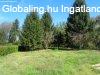 Elad csaldi hz Magyarlak, 	Kossuth Lajos utca