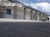 Elad ikerhz Kiskunlachza, 	Dzsa Gyrgy t
