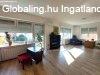 Elad 260 nm-es jszer llapot Csaldi hz Dunaharaszti R