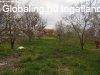 Elad 104m2-es Csaldi hz, Besenytelek
