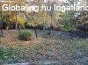 Elad csaldi hz Nemesbkn!