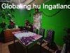 Nagyszakcsiban csaldi hz elad