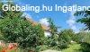 Nagysznson ktgenercis csaldi hz elad