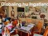 Nagysznson ktgenercis csaldi hz elad