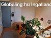 Nagysznson ktgenercis csaldi hz elad