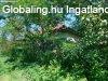 ELAD! ZRTKERTI INGATLAN REGLAKON! - reglak