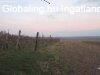 Elad prshz Balatonkrnykn! - Kard