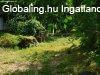 Nagycsepelyen 2 szobs hz 3 telekkel elad!