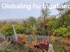 Eladó 140 nm-es Családi ház Szarvaskő
