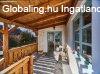 Eladó 400m2-es Családi ház, Salföld