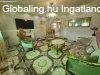 Elad 102 nm-es Feljtott Csaldi hz Lrinci
