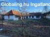 Elad 50 nm-es Feljtand Csaldi hz Gyula