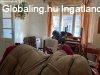 Elad 70 nm-es Feljtand Csaldi hz Tiszavasvri
