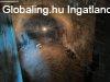 Elad Csaldi hz nagy borospincvel! - Balatonalmdi