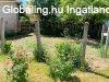 VIDKIHZ Talindrgdn