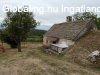 PCSELYEN BALATONI PANORMVAL - PRSHZ S SZL. - Pcsely