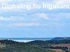 PCSELYEN BALATONI PANORMVAL - PRSHZ S SZL. - Pcsely
