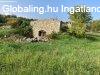 Balatonszls sznt s pince