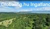 Balaton-felvidken 6,3 ha birtok, 2 db romos plettel - Vs