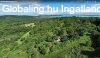Balaton-felvidken 6,3 ha birtok, 2 db romos plettel - Vs