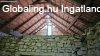 Balaton-felvidken 6,3 ha birtok, 2 db romos plettel - Vs