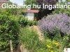 Tinnye, 190 m2, 120000000 HUF, 5 szoba [4425_411]