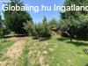 Elad 310m2-es Csaldi hz, Balatonboglr
