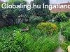 Belvrosi, ktszobs polgrihz a Csabagyngye kzelben
