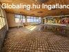 ELAD VZPARTI HZ, NAGY TELEKKEL A KIS- DUNNL