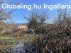 Pilissznt, 98 m2, 74900000 HUF, 2 szoba, 1 flszoba [2005_