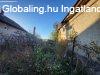 Vadregnyes kalandozs